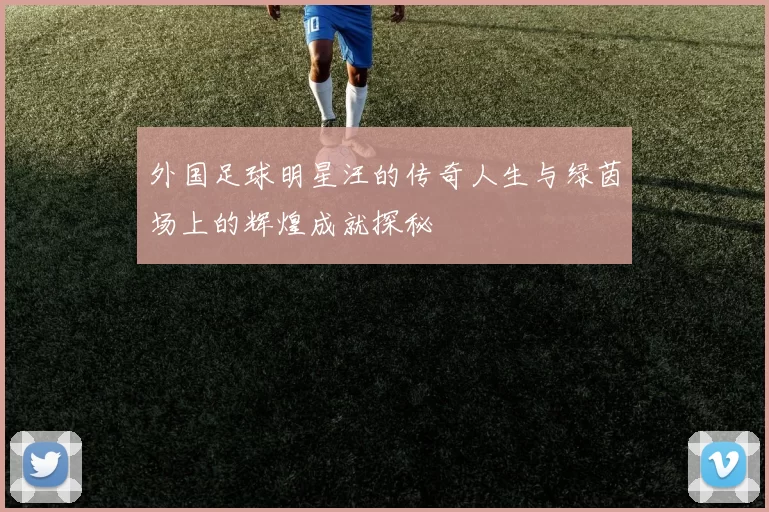 外国足球明星汪的传奇人生与绿茵场上的辉煌成就探秘