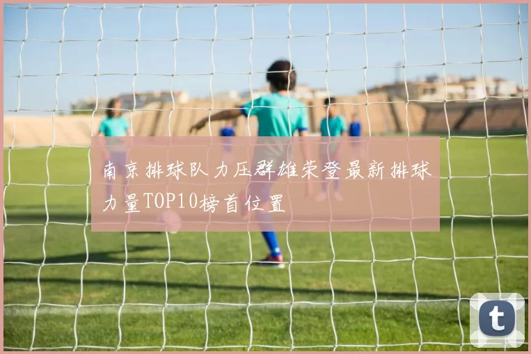 南京排球队力压群雄荣登最新排球力量TOP10榜首位置