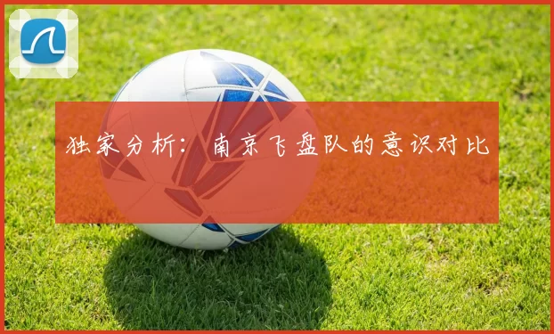 独家分析：南京飞盘队的意识对比