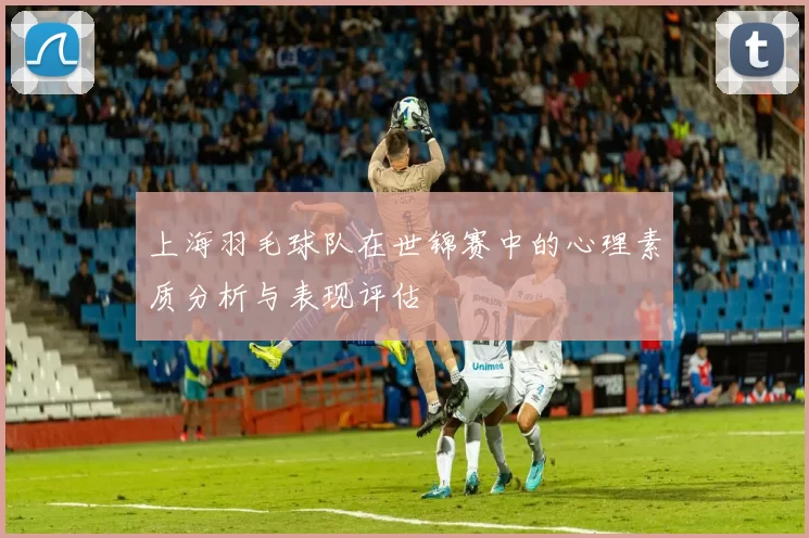 上海羽毛球队在世锦赛中的心理素质分析与表现评估