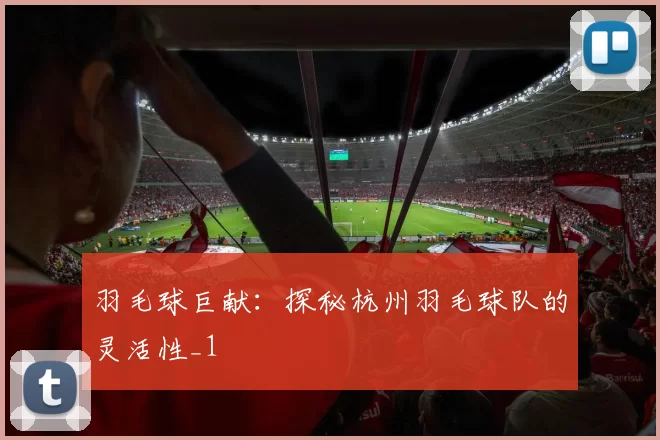 羽毛球巨献：探秘杭州羽毛球队的灵活性_1