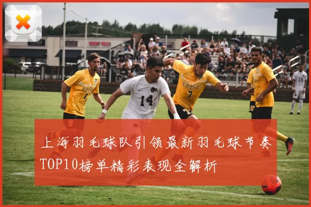 上海羽毛球队引领最新羽毛球节奏TOP10榜单精彩表现全解析