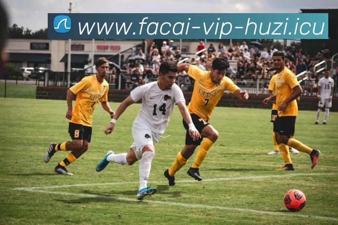 乐鱼体育服务体系